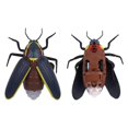 thumbnail image 4 of Télécommande Infrarouge Réaliste Mini Luciole RC Farce Insecte Jouet Effrayant, 4 of 6