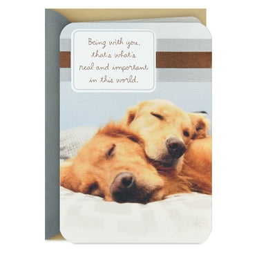 Hallmark Romantic Birthday Card for Husband (A True Partner)