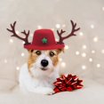 thumbnail image 1 of Adornos navideños Bocqde, gorro navideño con astas para mascota, peluche mediano de Shiba Inu, bonito disfraz para regalar en Navidad., 1 of 6