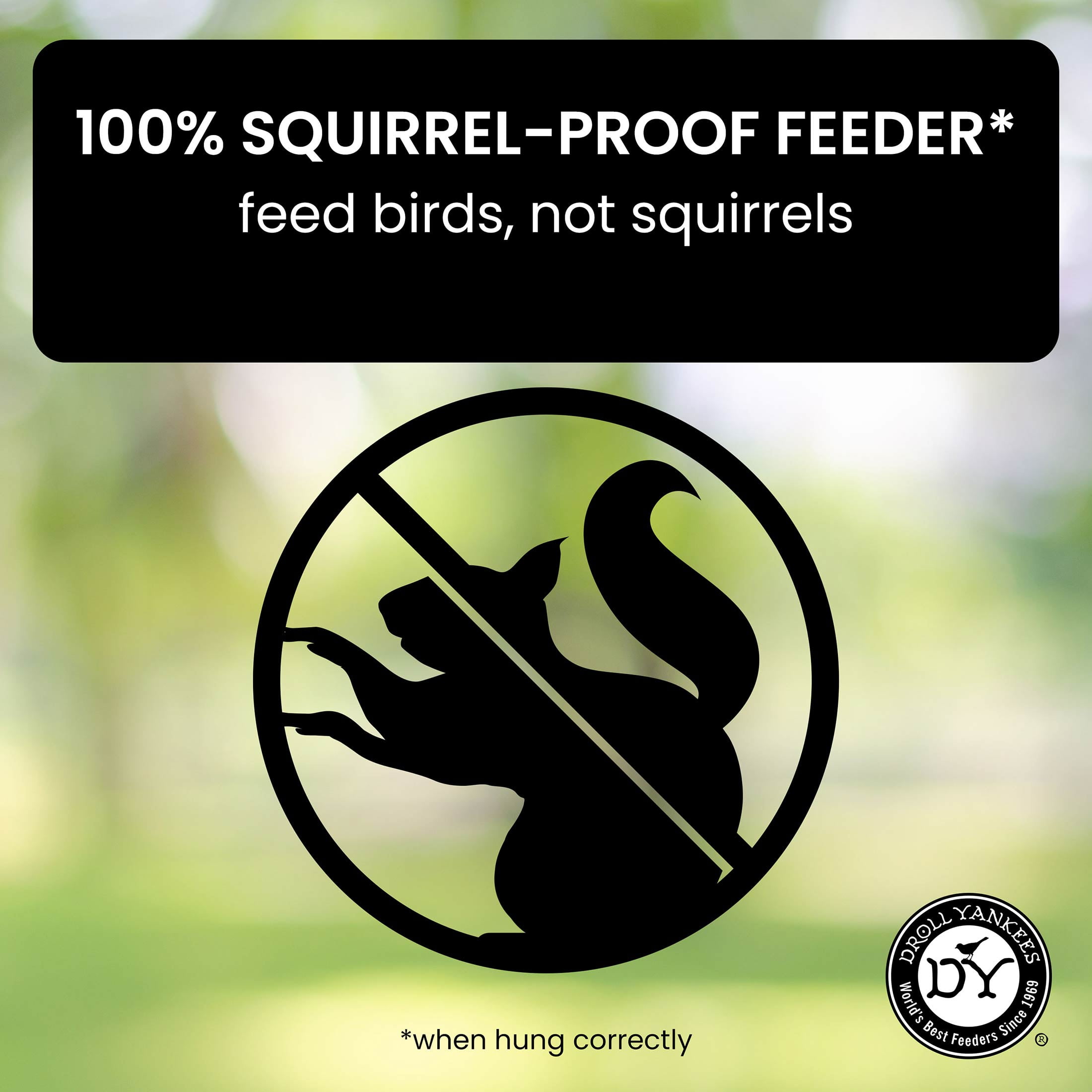 Droll Yankees Squirrel Proof Bird Feeders for Outdoors - YF-M - Flipper, Collapsible Perches, 5-Pound Seed Capacity, Green