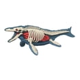 thumbnail image 2 of deevoka Animal Body Model Classroom Body Organ Parts for Study Tool Ages 8+ Children 3106, 2 of 9
