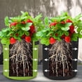 thumbnail image 4 of Oyajia Plant Grow Bags 7 Gallon Grow Bags + 10 Gallons Black Mixed Color Multi Size Fabric Pots with Handle and Roll-up Window, 4 of 11