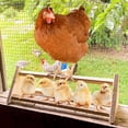 thumbnail image 2 of MIANGASTORE Chicken Perch Stand Parrots Standing Stick Home Chicken Hen Standing Rack, 2 of 9