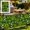 A, variant on Upgrade Expandable Artificial Leaf Hedge Panel, Faux Green Privacy Screen, Decorative Wall Fence for Balcony Patio, 23.62x15.75in D