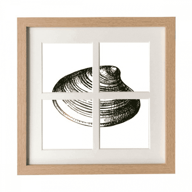 Black Marine Life Scallop Illustration Frame Wall Tabletop Display 4 Openings Picture