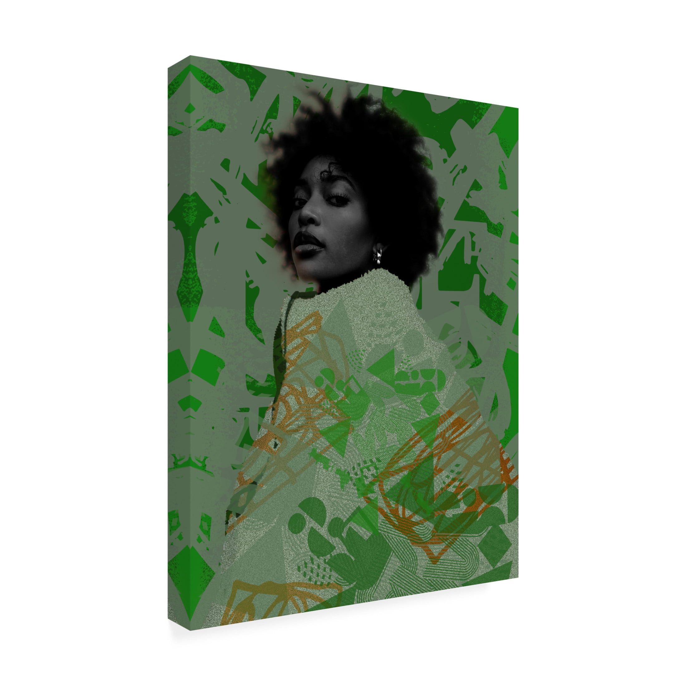 Canvas Wall Art - NUMA Art 'Greenie' Wall Art for Living Room, Bedroom, or Office Décor by Trademark Fine Art - 35 x 47 Inches