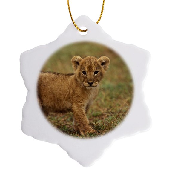 3drose, Lion Cub (panthera Leo), Kenya-af21 Kfo0022 - Kent Foster, 3 inch Snowflake Porcelain Ornament