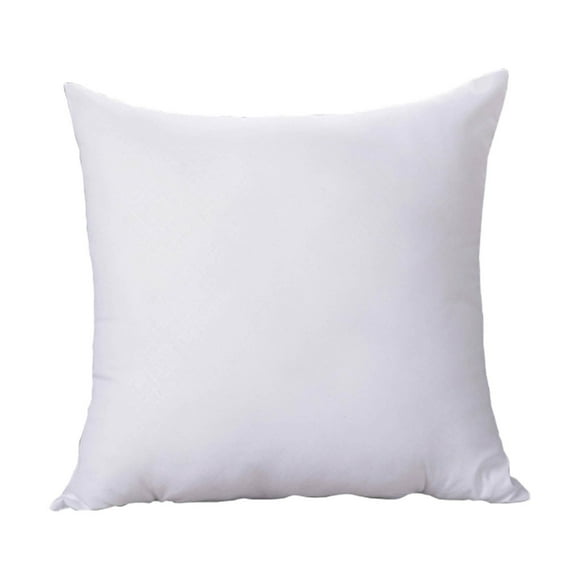 Ramiter Throw Pillow Core Sofa Throw Pillow Core 45×45cm Body Pillowcase Anime
