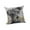 E, variant on Pillow Cover, Throw Pillow Case, Soft Polyester Cushion Cover with Animal Print for Sofa Bed Decor(A)