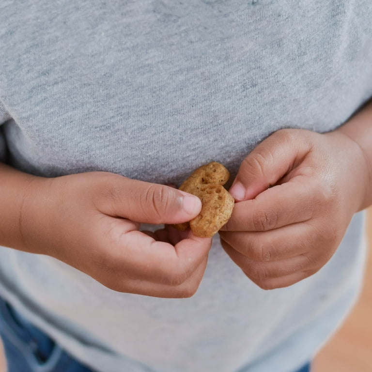 Beech-Nut Snacks para niños pequeños, galletas de dinosaurio con verduras  ocultas, felicidad de mantequilla, aperitivo horneado sin OMG para niños