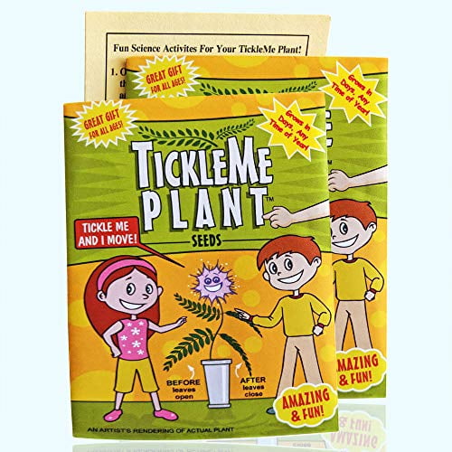 TickleMe Plant Seeds Packets (2) Party Favor! Leaves Fold Together When You Tickle It. Great Science Fun, Easy to Grow Indoors. It Can Flower. Include 10 Activities. Re-Opens in Minutes!