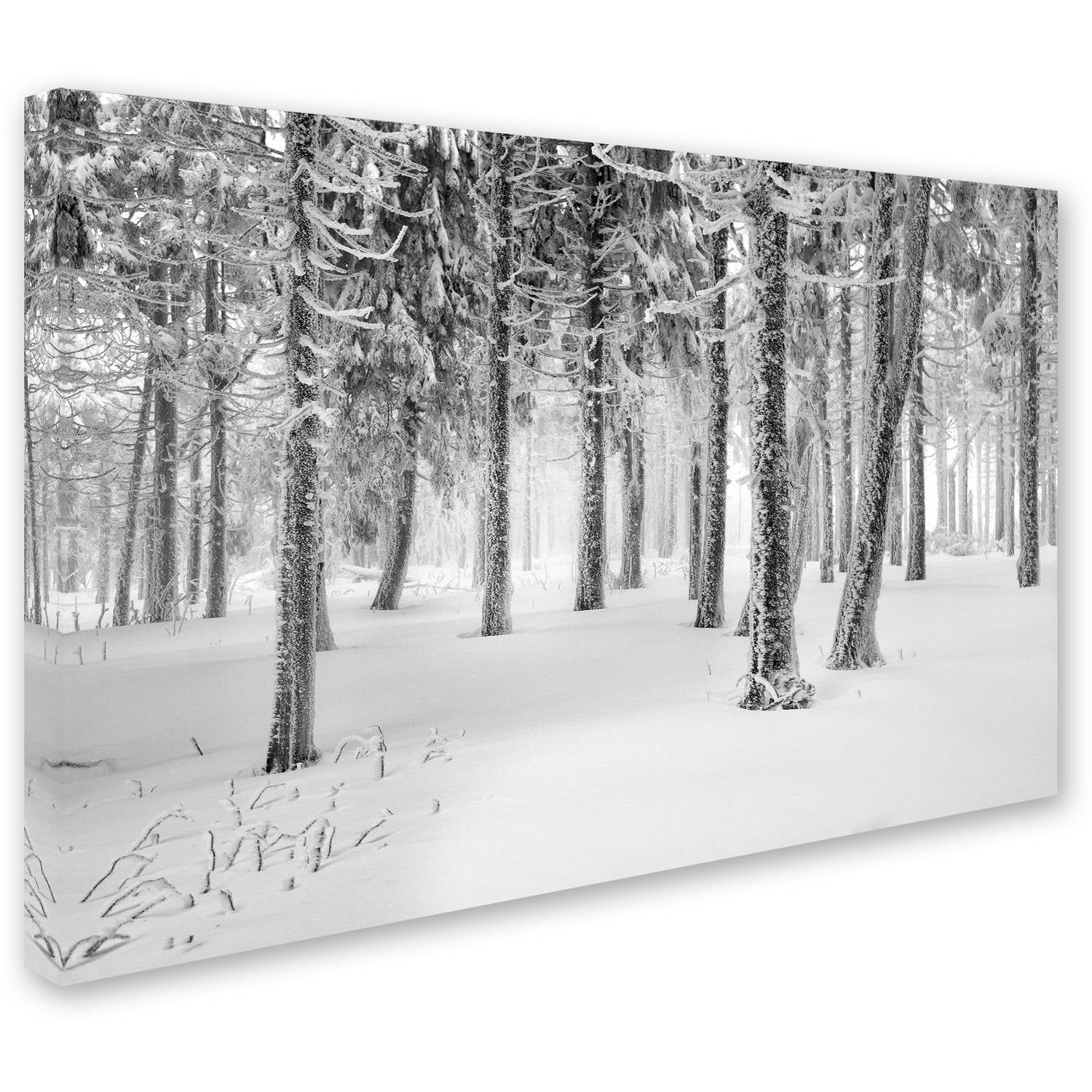 Trademark Fine Art "Frozen World" Canvas Art by Philippe Sainte-Laudy