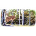 thumbnail image 1 of Plaque d'Immatriculation Cerf dans la Forêt, 1 of 2