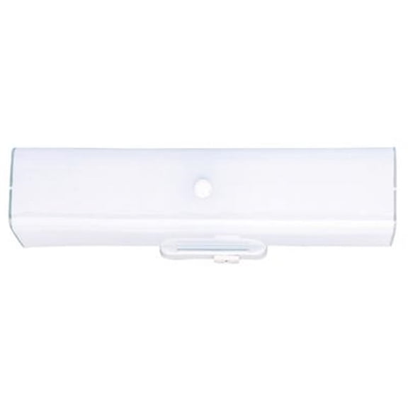 Two-Light Interior Wall Fixture with Ground Convenience Outlet, White Finish Base with White Ceramic Glass