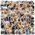 thumbnail image 1 of Stickers Jaurney 100 piezas impermeables de memes de perros y gatos, 1 of 9