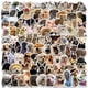 thumbnail image 1 of Stickers Jaurney 100 piezas impermeables de memes de perros y gatos, 1 of 9