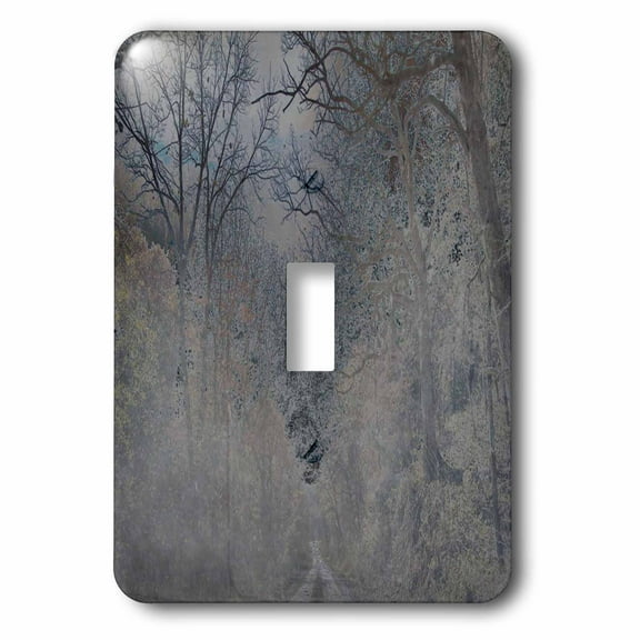 3dRose, Country Road, single toggle switch