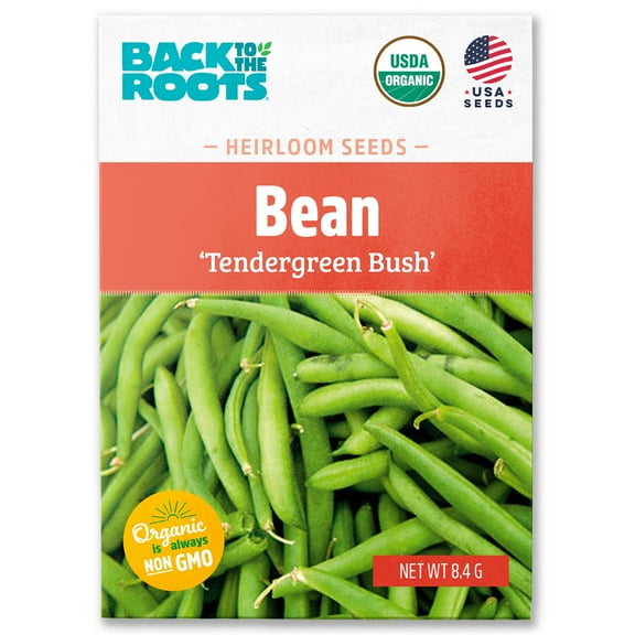 Back to the Roots Organic Bean 'Tender Green', 1 Seed packet
