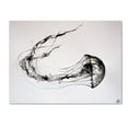 thumbnail image 2 of Trademark Fine Art 'That's No Moon' Canvas Art by Marc Allante, 2 of 4