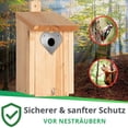 thumbnail image 5 of SXcggal For Nesting And Bird Extra Flight Hole For Nesting Boxes Including Screws 28+32mm Practical Basic Bird Feeders For Garden, 5 of 5