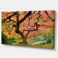 thumbnail image 3 of Design Art - Érable d'Automne, 3 of 4
