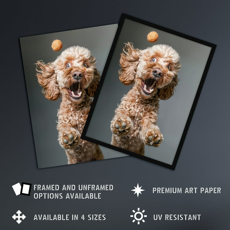 Funny Jack Russell Dog Kitchen Towel - 27"x27", Absorbent Cotton, "Proud Parent Of A Jack Russell..."