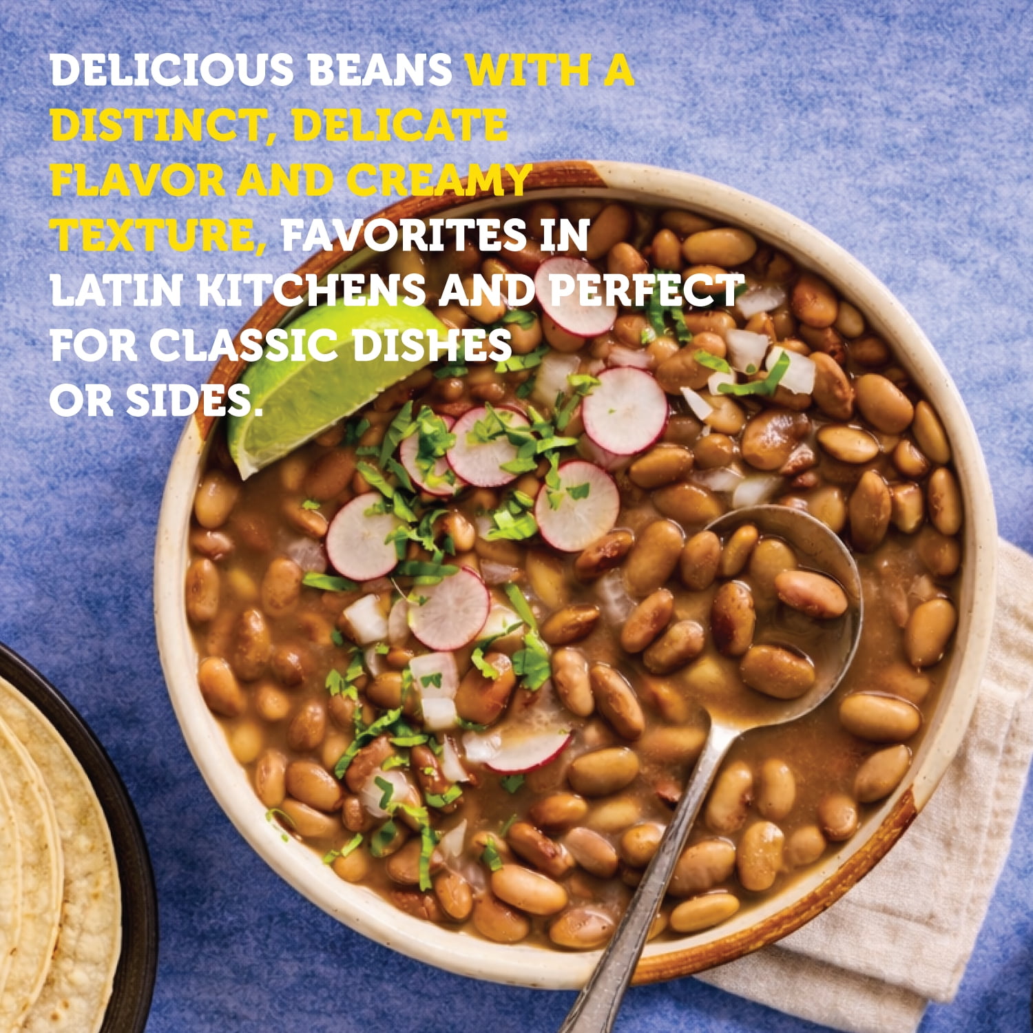 (4 pack) GOYA Pinto Beans 15.5 oz Can