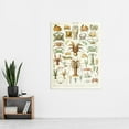 thumbnail image 2 of Millot Encyclopedia Page Crustaceans Lobster Extra Large XL Wall Art Poster Print, 2 of 3