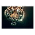 thumbnail image 3 of Tiptophomedecor Animal Wallpaper Wall Mural - Bengal Tiger, 3 of 4