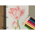 thumbnail image 3 of Lápices de colores S & E TEACHER'S EDITION 144 unidades preafilados, 3 of 5