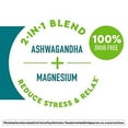 Nature Made Wellblends Calm & Relax, Ashwagandha 125 mg, Magnesium 300