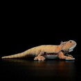 thumbnail image 1 of 46cm Simulation Pogona Vitticeps Lguana Lizard Cute Realistic Stuffed Plush Toy Soft Agamidae Animals Doll Model For Kids Gifts Tw, 1 of 5