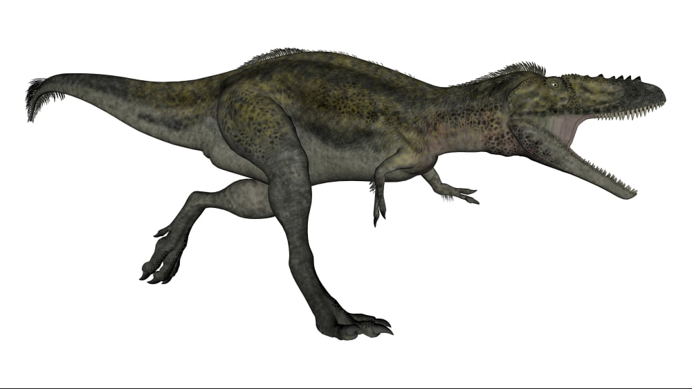 dinosaur with white cap on head