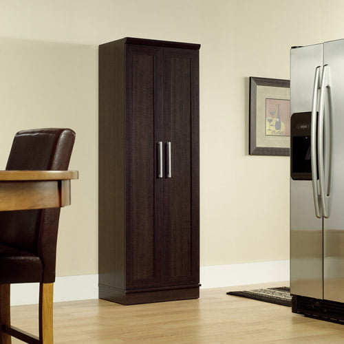 2 Door Wood Storage Cabinet, Sauder Storage Cabinets With Doors And Shelves