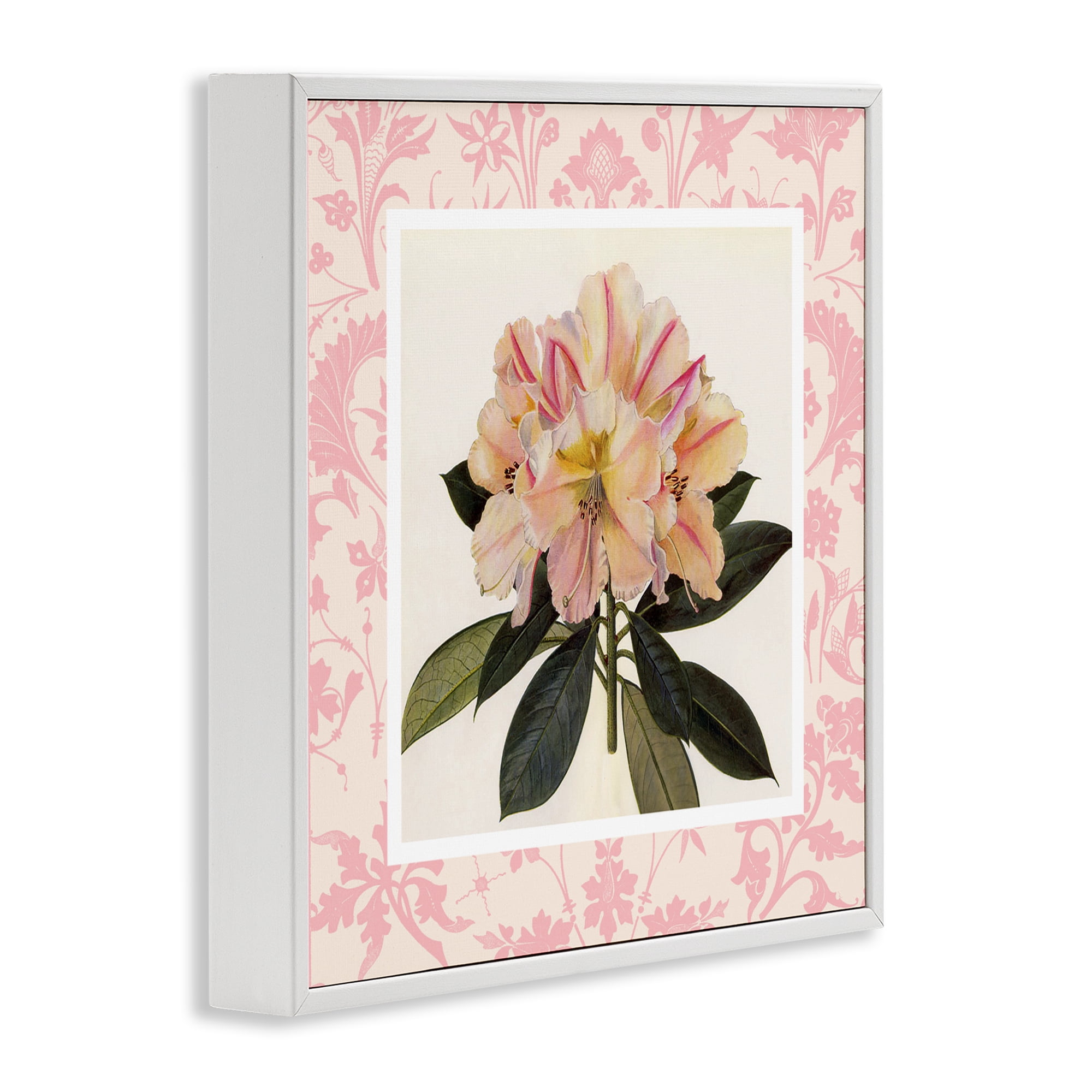 Stupell Industries Pink Vintage Pattern Botanical White Framed Giclee Art, design by Livi Finn