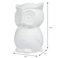 thumbnail image 4 of Hello Hobby Ceramic Paintable Bank Owl, 5.75" Height White Craft Base, 4 of 7