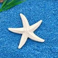 thumbnail image 6 of HARR Resin Ocean Beach Starfish Natural Seashell Starfish Ornaments for Wedding Decor Beach Theme Party Home DIY Craft Fish Tank Holiday Decoration Y4F4, 6 of 9