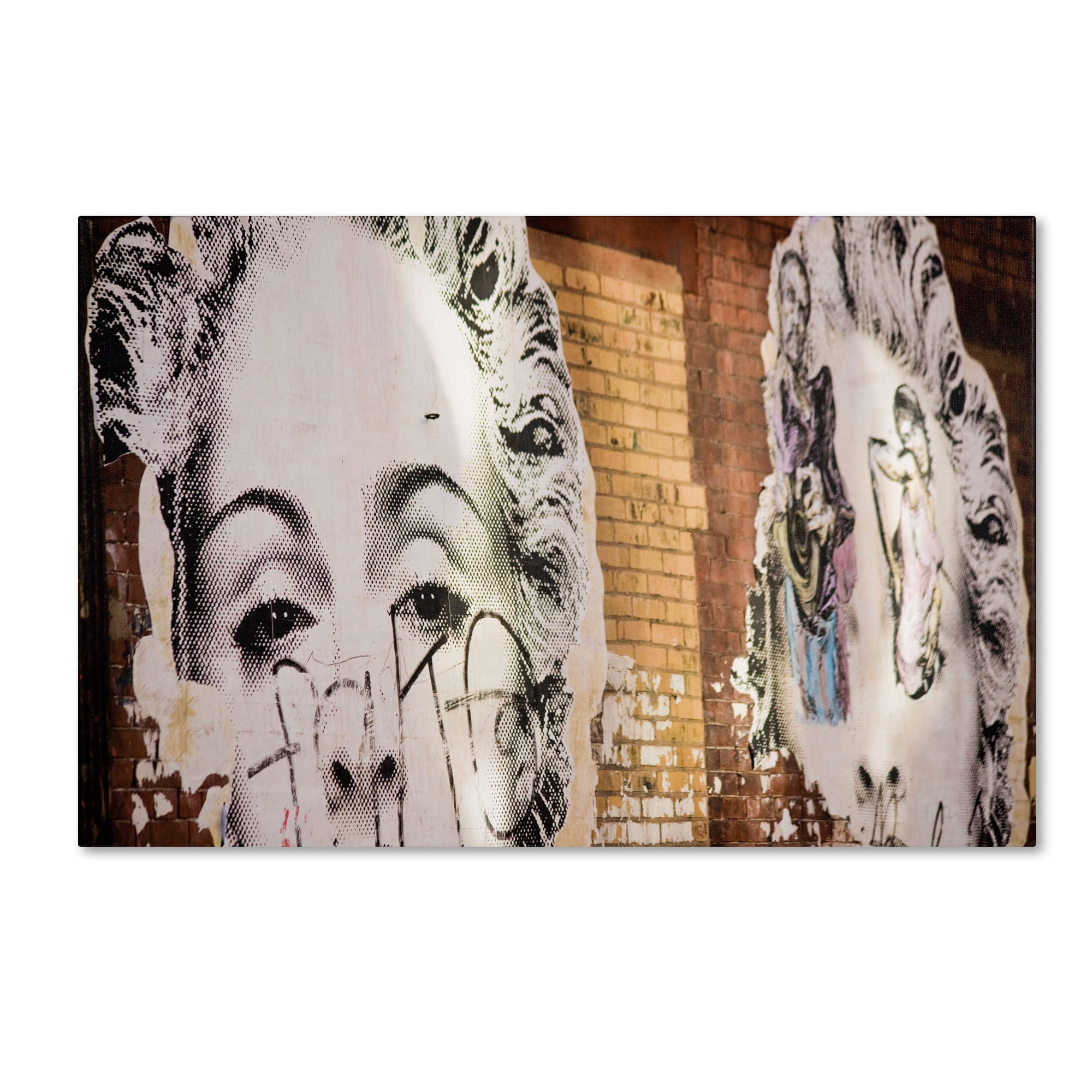 Trademark Fine Art "Pop Art Madonna Meatpacking" Canvas Art by Yale Gurney