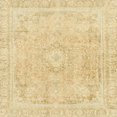 thumbnail image 1 of Ahgly Company Indoor Square Abstract Brown Gold Abstract Area Rugs, 6' Square, 1 of 6