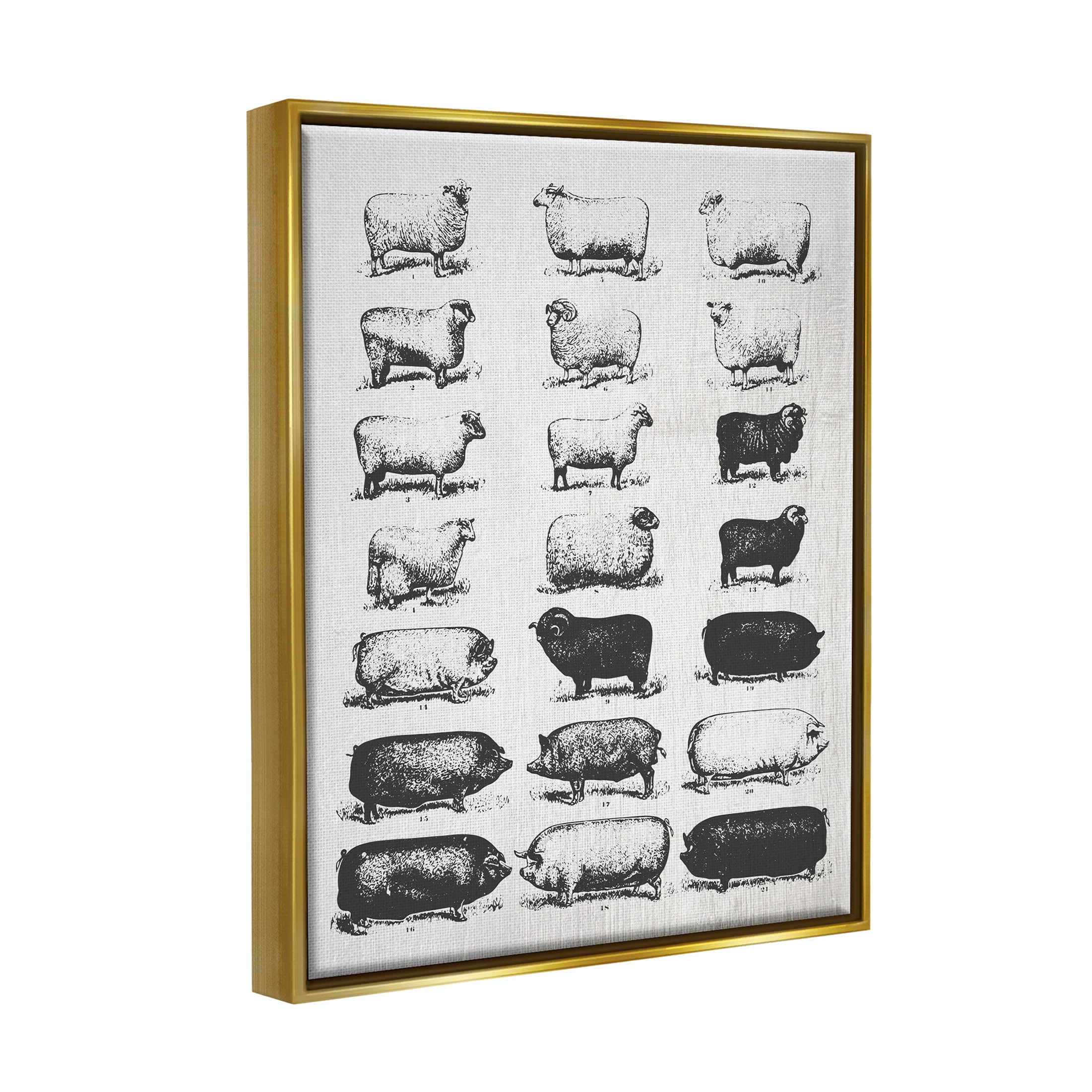 Stupell Industries Vintage Farm Animal Chart Graphic Art Metallic Gold Floating Framed Canvas Print Wall Art, Design by Daphne Polselli