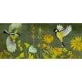 thumbnail image 2 of Zarris, Chariklia 18x10 White Modern Wood Framed Museum Art Print Titled - Birding Collection H, 2 of 4