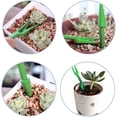 thumbnail image 3 of Herramienta de sembradora, herramientas de trasplante suculentas, sembradora de semillas, herramientas de jardín, sembradora de semillas para juego de plantación de multiplicación, sembradora, perfor TUNC Sencillez, 3 of 5