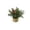 106#Multicolor, variant on Outdoor Christmas Decorations Assorted Artificial Pines Needle Potted Plants Natural Woven Straw Basket Faux Pines Greenerys Tabletop Arrangement Multi Style Mini Fake Pines Planter