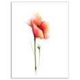 thumbnail image 2 of Red Poppy Flower with Large Petals - Large Flower Canvas Wall Art, 2 of 3