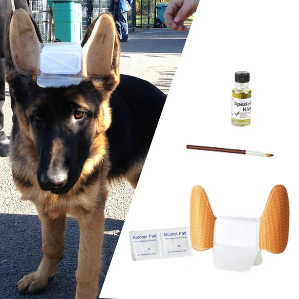 Ear glue hotsell for dogs