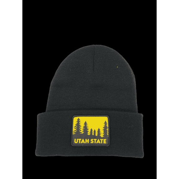 Utah Beanie - Black