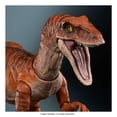thumbnail image 4 of Figura de Acción Mattel Jurassic World Velociraptor, 4 of 4
