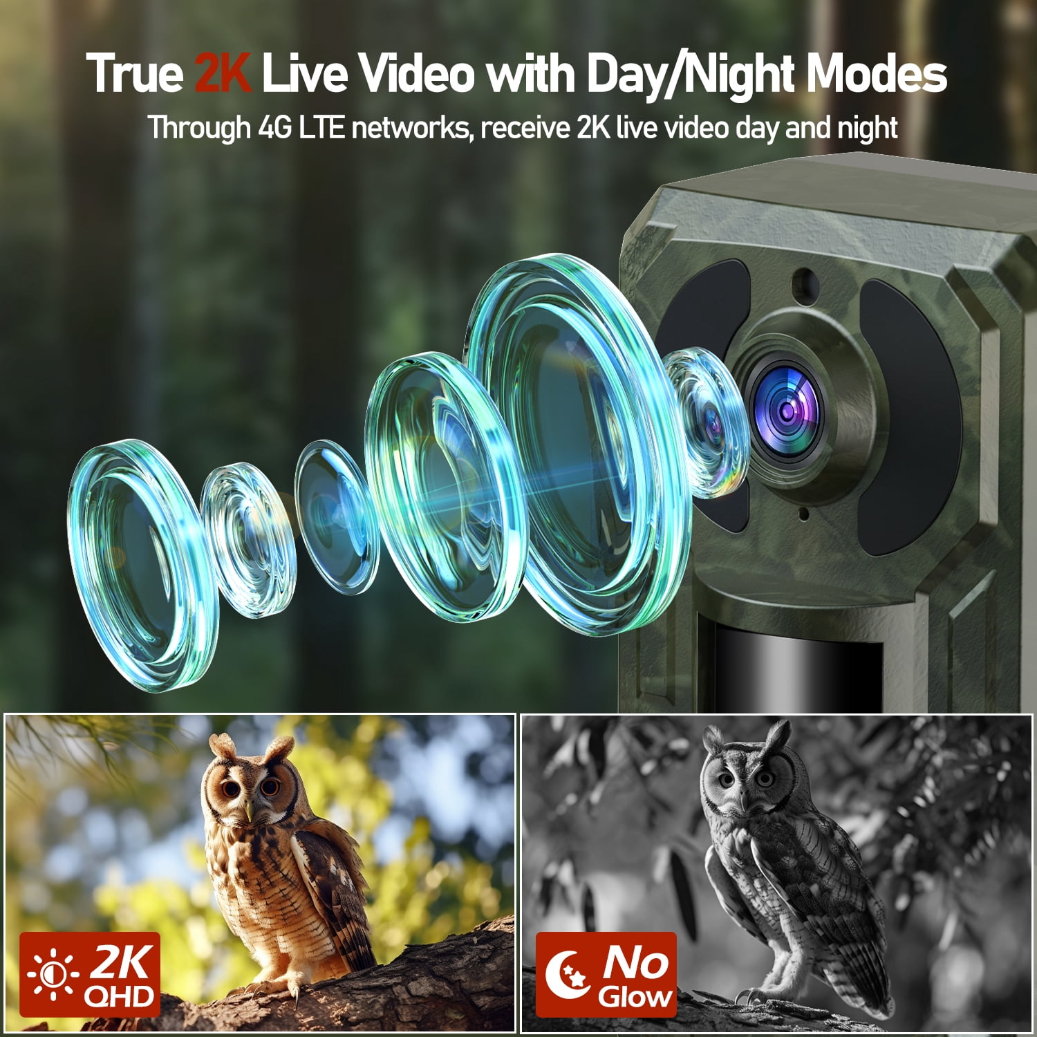 CAMPARK Trail Camera with 4G Cellular Solar, 2.5K 14MP Hunting Game Camera with Live View and Motion Alerts, 940nm No Glow Night Vision and IP66 Waterproof for Wildlife Monitoring