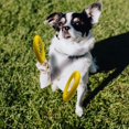thumbnail image 1 of Juguetes para perros Juguete masticable para perros para masticadores agresivos Discos voladores para razas medianas/grandes Anillo de entrenamiento para perros (18 cm) ZefeiWu 1327533491754, 1 of 1