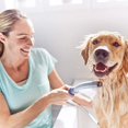 thumbnail image 3 of SAYDY Shower Sprayer Attachment, for Fast and Easy at Home Dog Cleaning, Pet Wand Pro ST-1001, 3 of 8
